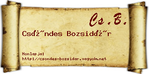 Csöndes Bozsidár névjegykártya